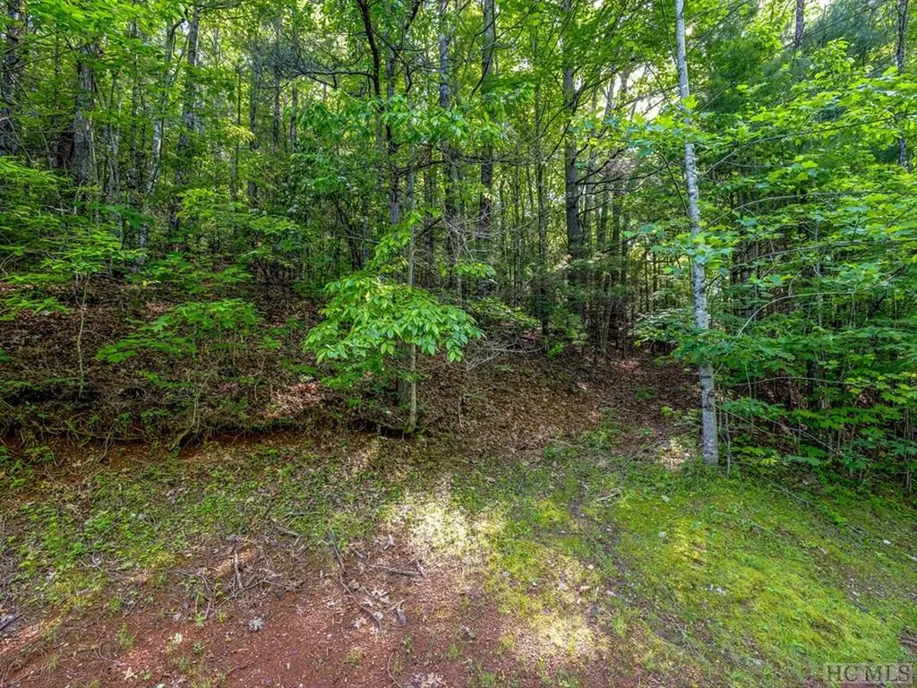 Tbd Hawk Mountain Road Lake Toxaway NC 28747