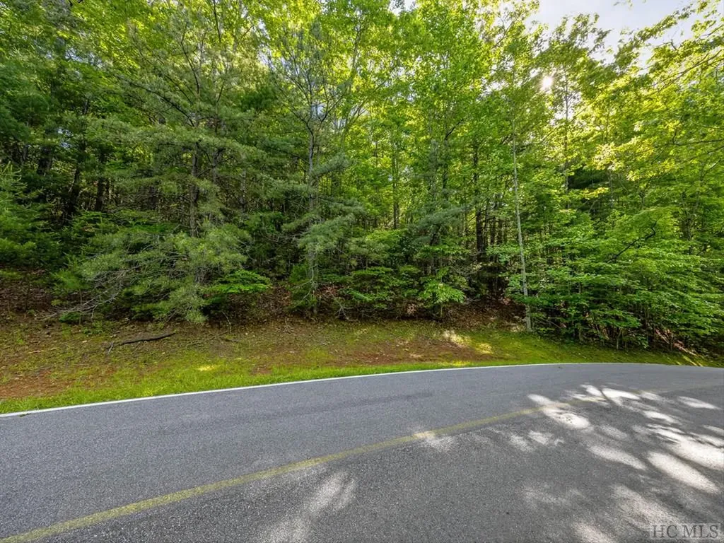 Tbd Hawk Mountain Road Lake Toxaway NC 28747