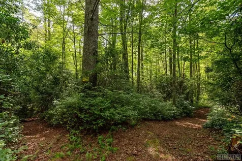 0 Cedar Creek Road Glenville NC 28736