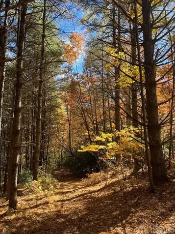 0 Cedar Creek Road Glenville NC 28736