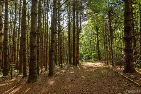 0 Cedar Creek Road Glenville NC 28736