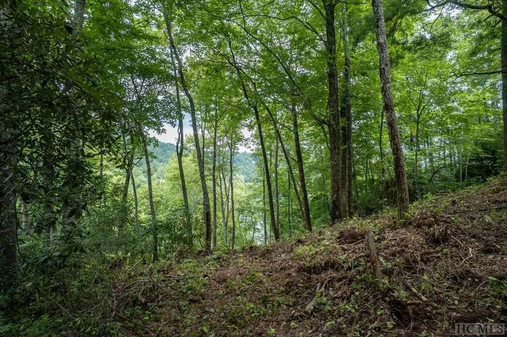 M 38 W Cardinal Drive Lake Toxaway NC 28747