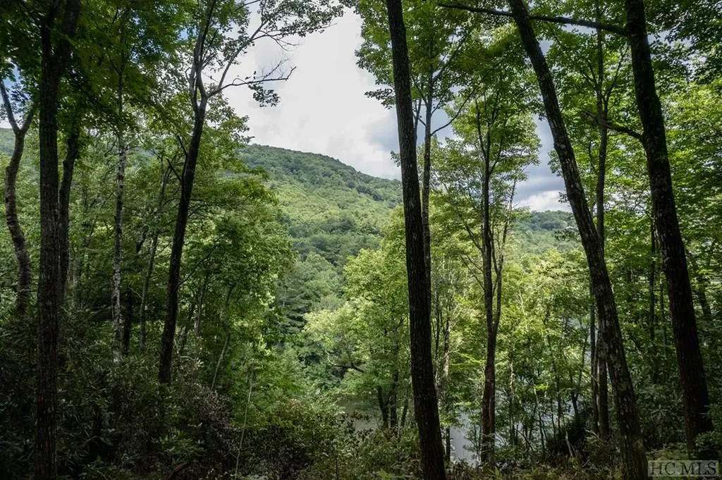 M 38 W Cardinal Drive Lake Toxaway NC 28747