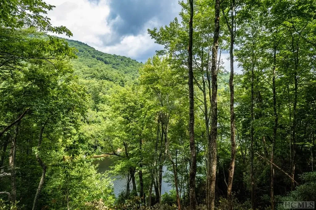 M 38 W Cardinal Drive Lake Toxaway NC 28747