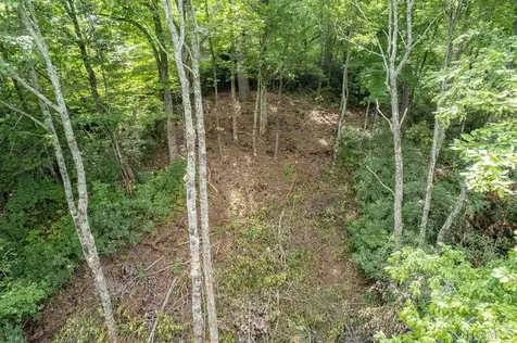 M 38 W Cardinal Drive Lake Toxaway NC 28747