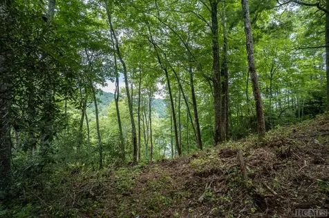 M 38 W Cardinal Drive Lake Toxaway NC 28747