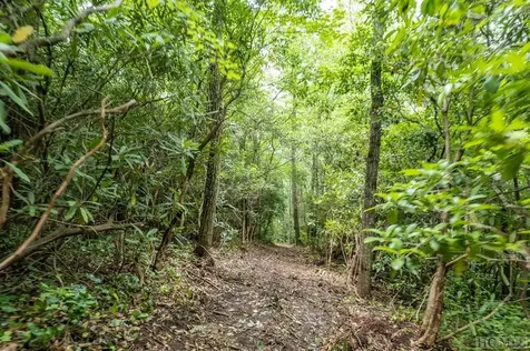 M 38 W Cardinal Drive Lake Toxaway NC 28747