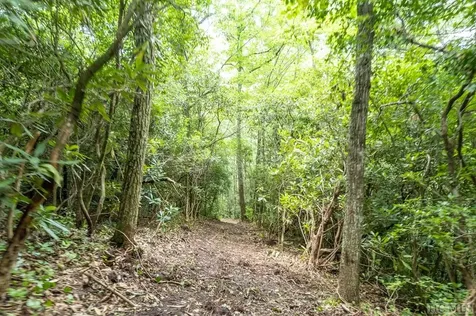 M 38 W Cardinal Drive Lake Toxaway NC 28747