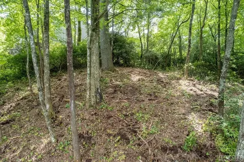 M 38 W Cardinal Drive Lake Toxaway NC 28747