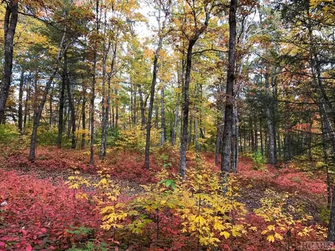 Lot 39 Covered Bridge Road Cullowhee NC 28723