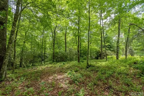 Lot 39 Covered Bridge Road Cullowhee NC 28723