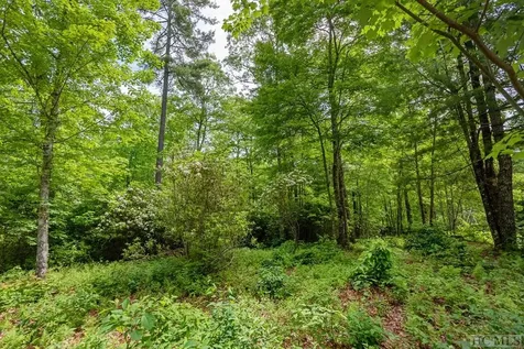 Lot 39 Covered Bridge Road Cullowhee NC 28723
