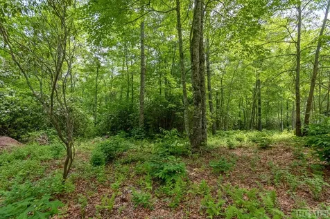 Lot 39 Covered Bridge Road Cullowhee NC 28723