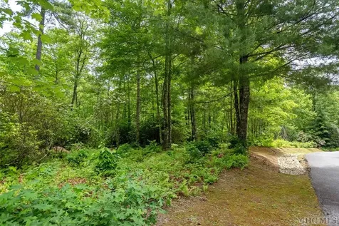 Lot 39 Covered Bridge Road Cullowhee NC 28723