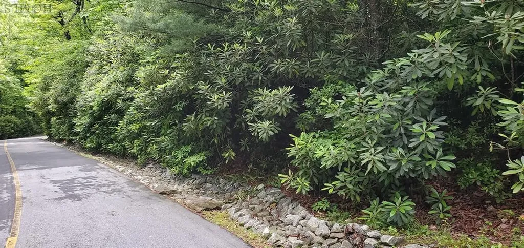 Lot 8 Rock Creek Court Sapphire NC 28774