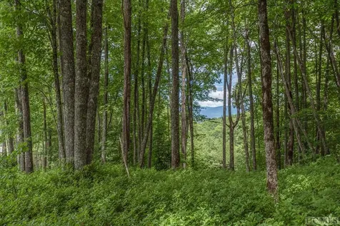 Lot 109 Crippled Oak Trail Glenville NC 28736