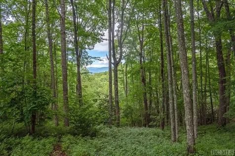 Lot 109 Crippled Oak Trail Glenville NC 28736