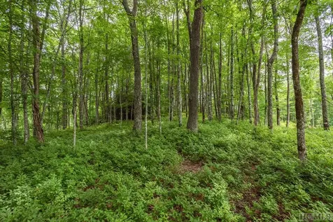 Lot 109 Crippled Oak Trail Glenville NC 28736
