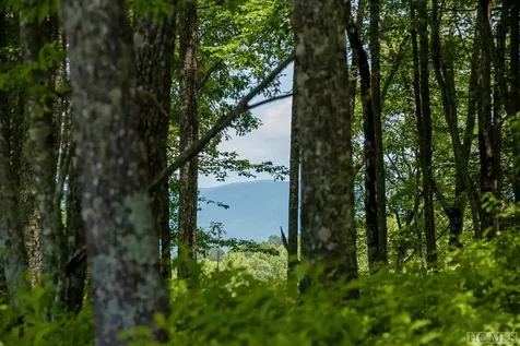 Lot 109 Crippled Oak Trail Glenville NC 28736