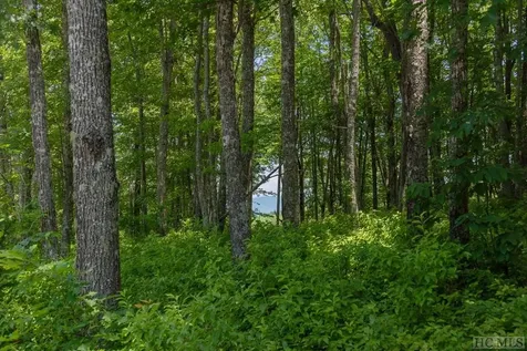 Lot 109 Crippled Oak Trail Glenville NC 28736