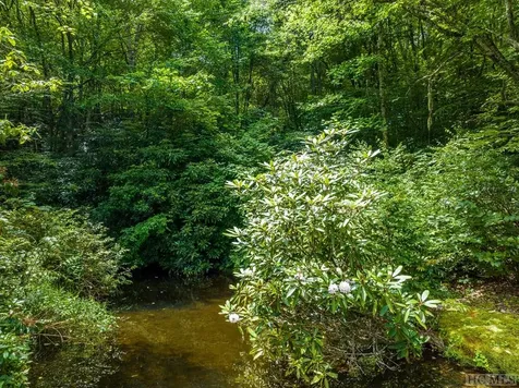 Lot 19 Receptive Drive Glenville NC 28736