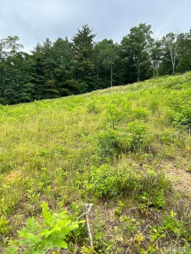 10529 Pine Creek Road Glenville NC 28736