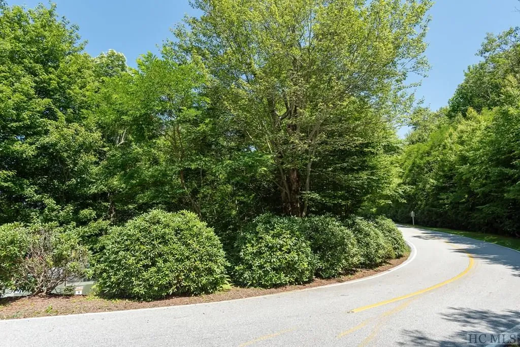 Lot 7 Meadow Ridge Road Lake Toxaway NC 28747