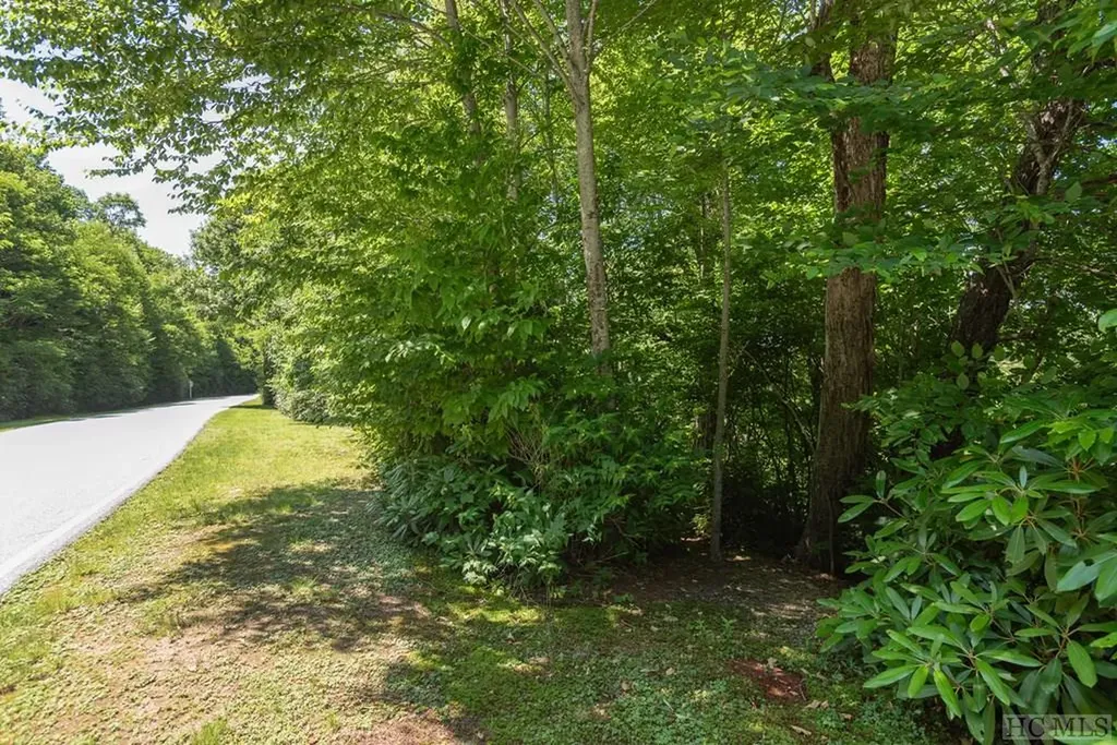 Lot 7 Meadow Ridge Road Lake Toxaway NC 28747