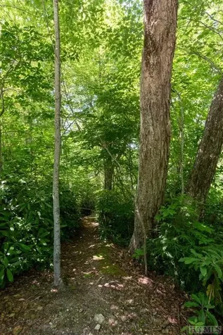 Lot 7 Meadow Ridge Road Lake Toxaway NC 28747