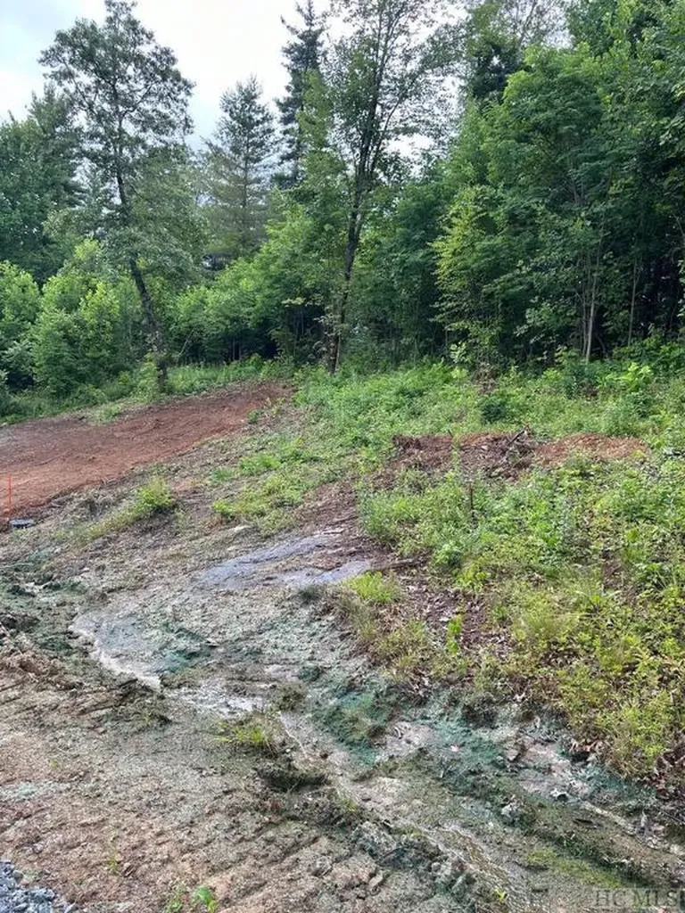 10529 Pine Creek Road Glenville NC 28736