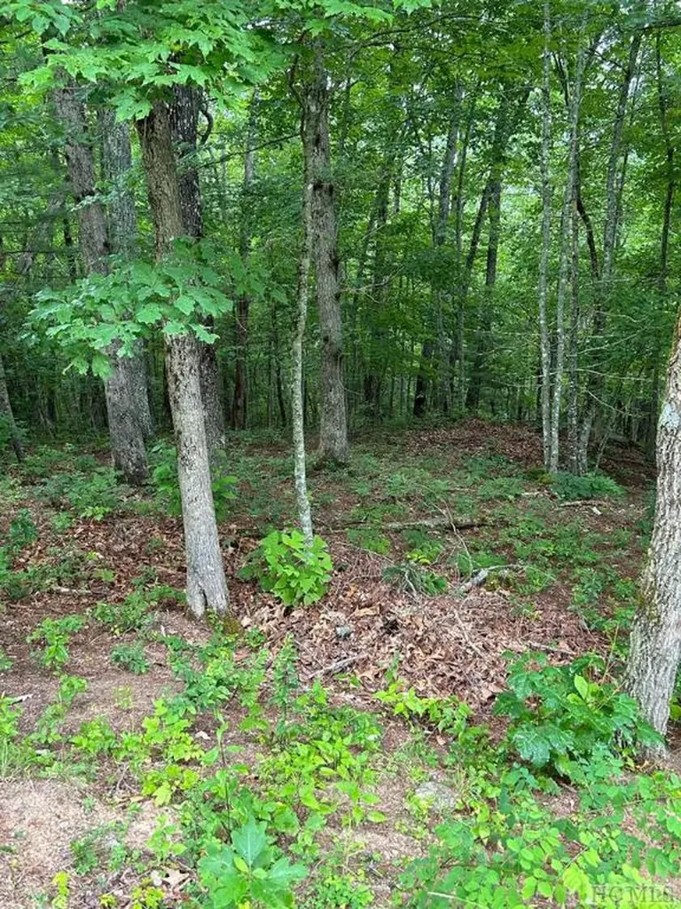 10529 Pine Creek Road Glenville NC 28736