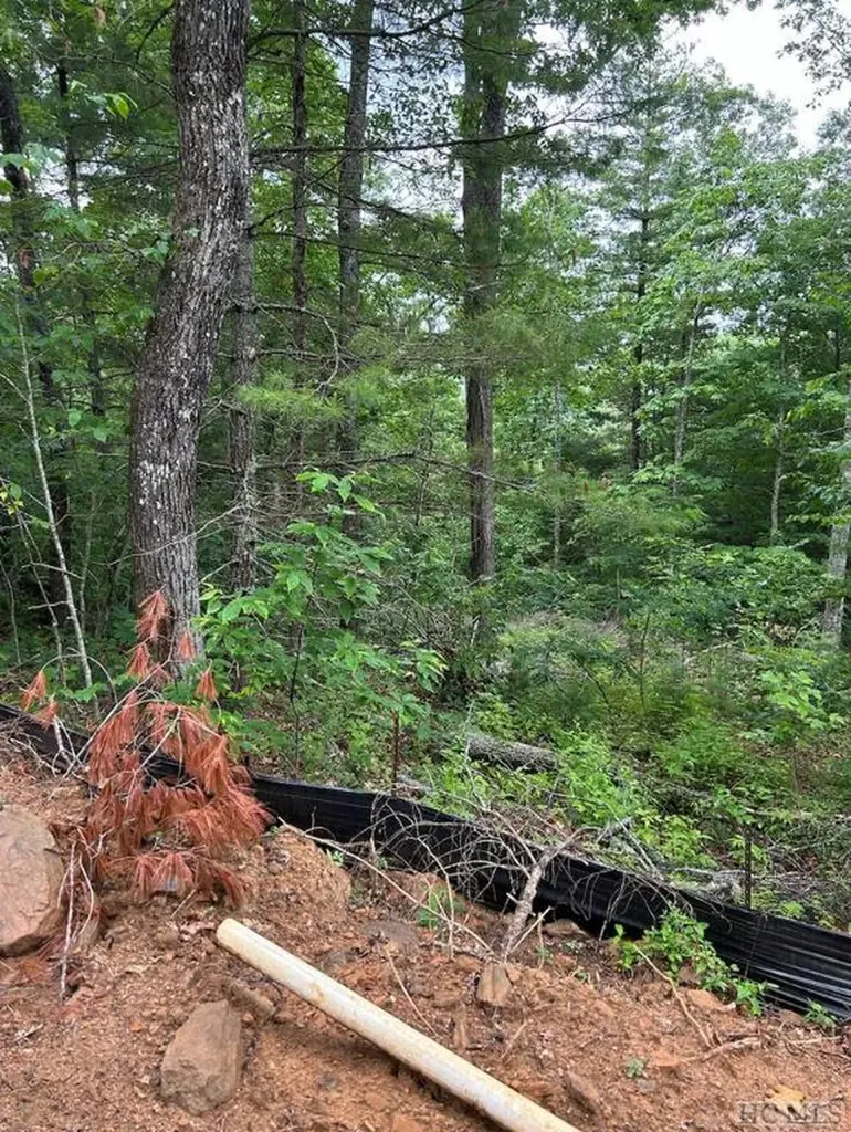 836 Ridge Crest Lane Cullowhee NC 28723
