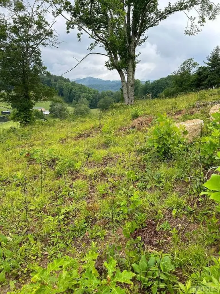10529 Pine Creek Road Glenville NC 28736