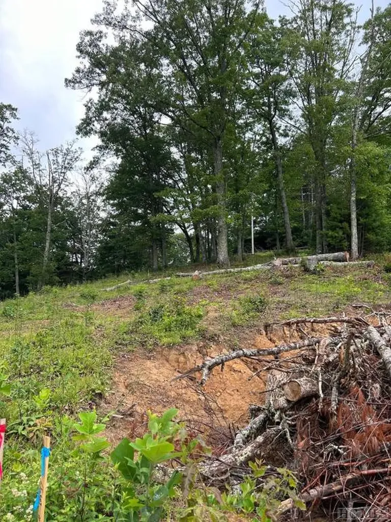 10529 Pine Creek Road Glenville NC 28736