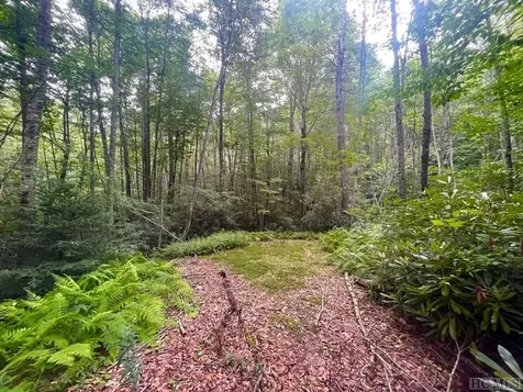 24 Highland Bog Court Sapphire NC 28774