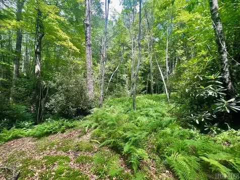 24 Highland Bog Court Sapphire NC 28774