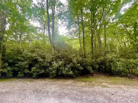 24 Highland Bog Court Sapphire NC 28774