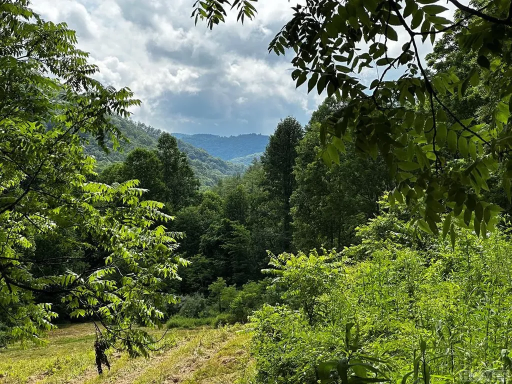 L 15 Trout Creek Road Tuckasegee NC 28783