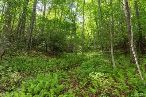 616 Found Forest Road Cashiers NC 28717