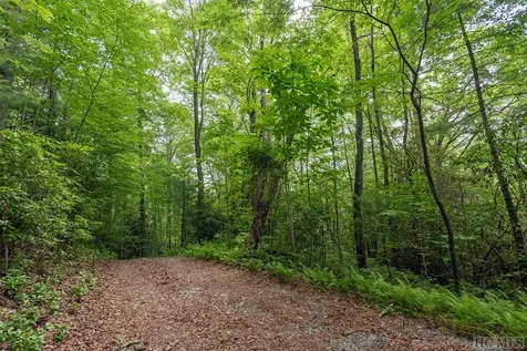 616 Found Forest Road Cashiers NC 28717