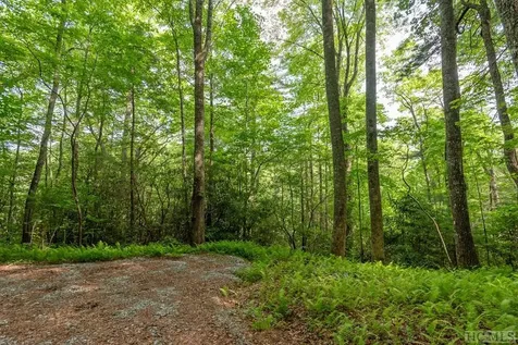 616 Found Forest Road Cashiers NC 28717