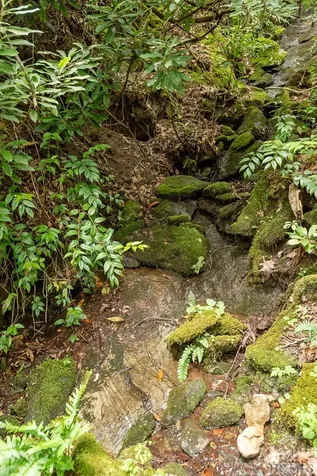 616 Found Forest Road Cashiers NC 28717