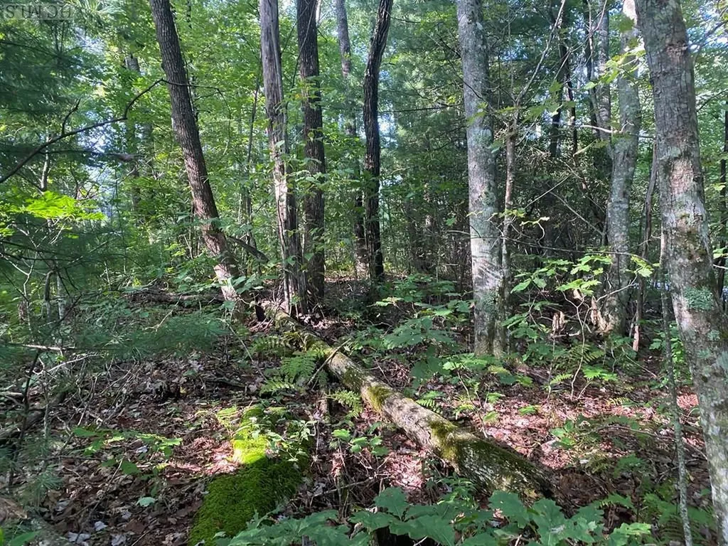 Lot 17 Whitewater Ridge Road Sapphire NC 28774