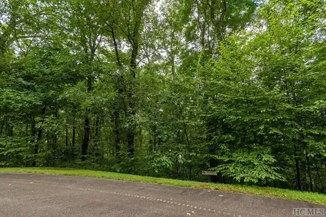 Lot 7 Old Forester Trail Cullowhee NC 28723