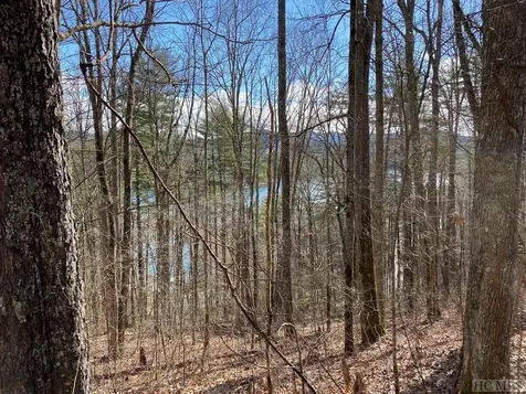 Lot 7 Old Forester Trail Cullowhee NC 28723