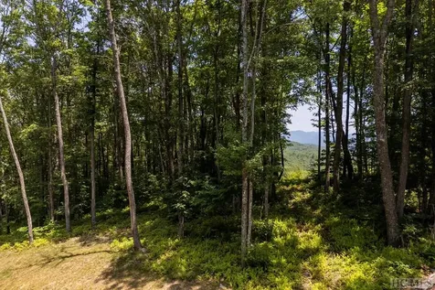 Lot C52 Roaming Road Glenville NC 28736