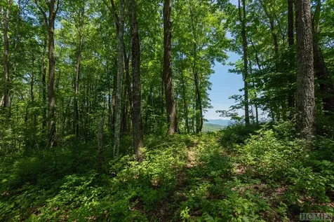 Lot C52 Roaming Road Glenville NC 28736