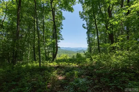Lot C52 Roaming Road Glenville NC 28736