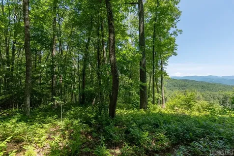 Lot C52 Roaming Road Glenville NC 28736