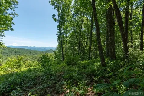 Lot C52 Roaming Road Glenville NC 28736